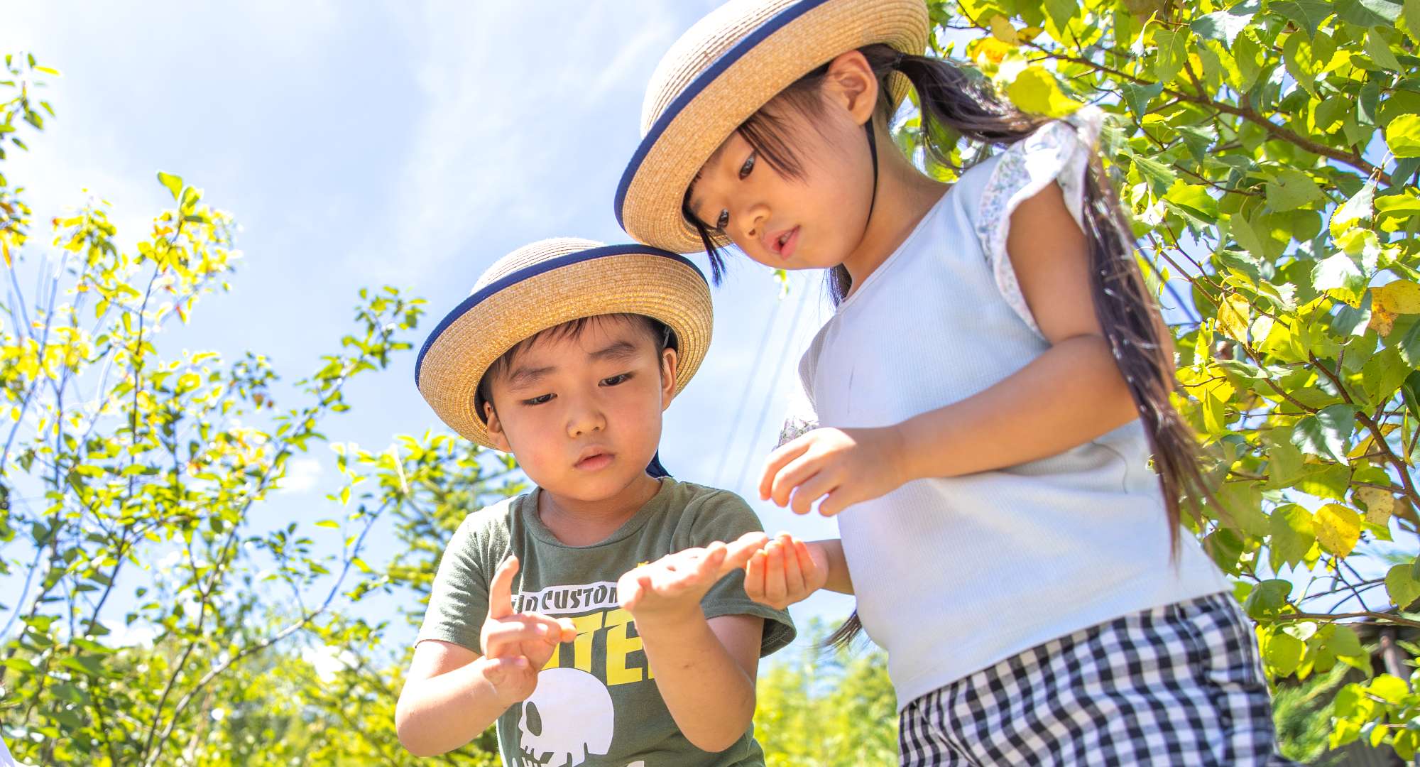 男の子が手のひらの上に載せた何かを女の子に見せながら2人で真剣に覗き込んでいる写真